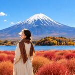 Mount Fuji 6 Major Attractions Day Trip: Popular Photo Spot Route, Multilingual Guide (Departing from Tokyo/Shinjuku) - Lake Yamanaka: swans and an open horizon