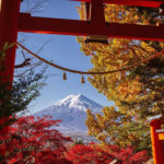 Mount Fuji 9-person small group day tour (departing from Tokyo, driver-guide service, optional hotel pick-up and drop-off) - What the small group changes