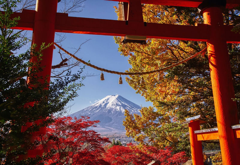 Mount Fuji 9-person small group day tour (departing from Tokyo, driver-guide service, optional hotel pick-up and drop-off) - What the small group changes