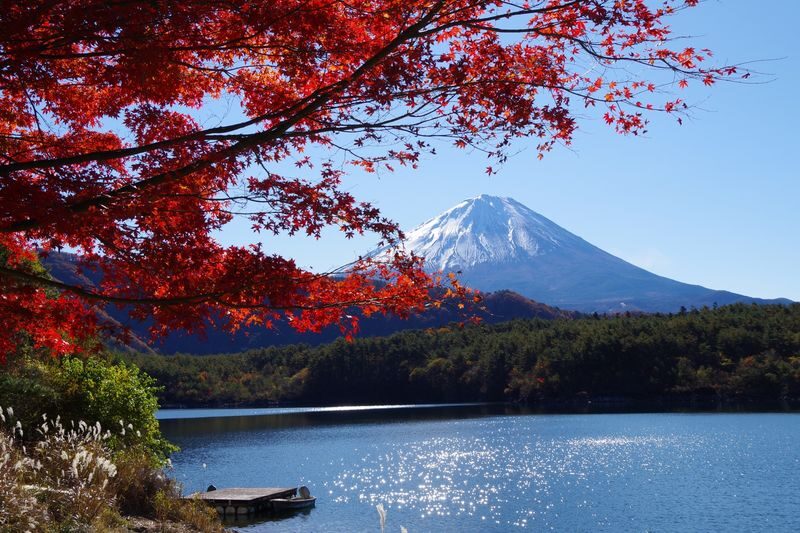 Mount Fuji and Lake Kawaguchi Scenic Sightseeing - Bicycle Rental & Lake Kawaguchi Cruising - Choose a route that matches your energy