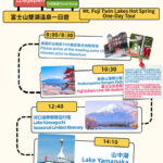Mount Fuji and Shibazakura Festival Full-Day Flower Viewing Tour - Flowers at Kawaguchi or Motosu