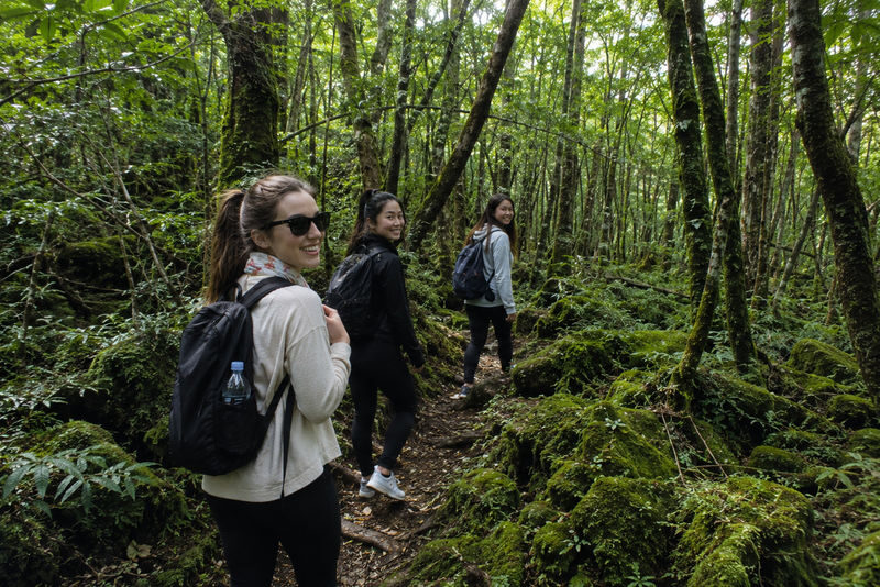 Mount Fuji & Aokigahara Hidden Gems Full-Day Private Tour - Mount Fuji: a view, not a promise