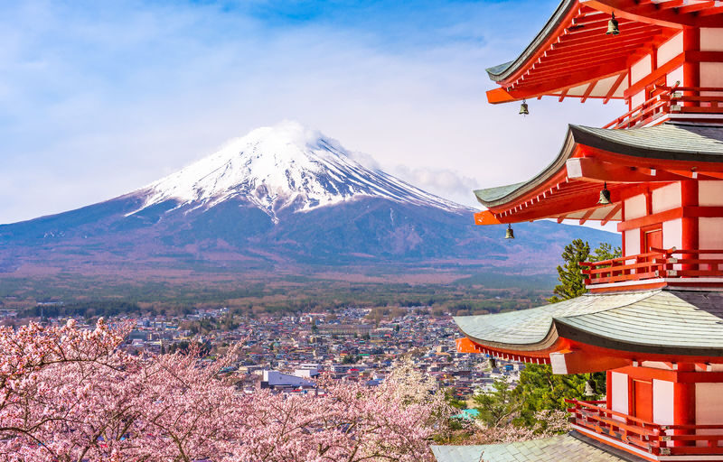Mount Fuji Classic Day Tour: Arakurayama Sengen Park/5th Station & Lake Kawaguchiko for Cherry Blossoms in Spring and Autumn Leaves in Autumn. Round trip from Tokyo. Hotel pickup and drop-off can be added. (Chinese service) - Hikawa Clock Shop and the street that points to Fuji
