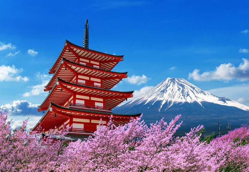 Mount Fuji Day Trip: Hakone Owakudani, Arakurayama Sengen Park, Kawaguchiko Oishi Park, Lake Yamanaka, Lawson Convenience Store (Multiple routes available, departing from Tokyo) - Hakone Shrine, Lake Ashi, and the pirate ship
