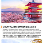 Mount Fuji Fruit Picking & Popular Sightseeing Train Day Trip | Mount Fuji 5th Station/Arakurayama Sengen Park, Sightseeing Train, Oishi Park, Yamanashi Fuji Fruit Park Day Trip (Round Trip from Tokyo) - Choose your Fuji view by season