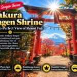 Mount Fuji Full Sightseeing Day Trip from Tokyo or Shinjuku - Oishi Park: a lakeside first look