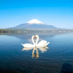 Mount Fuji & Gotemba Outlets Small Group Day Trip with Driver-Guide service & Optional hotel pickup - A driver-guide makes the day easier to manage