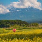 Mount Fuji, Hakone Full-Day Private Tour - Chureito Pagoda and the Fuji-area stops