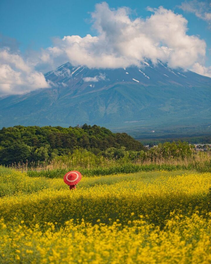 Mount Fuji, Hakone Full-Day Private Tour - Chureito Pagoda and the Fuji-area stops