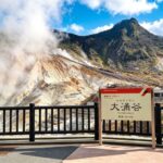Mount Fuji & Hakone Six Major Scenic Spots Land, Water, and Air Check-in Day Tour [All-Inclusive] | Lake Ashi Water Torii & Hakone Shrine & Pirate Ship & Owakudani & Lake Yamanaka & Oshino Hakkai - Hakone Shrine and the Peace Torii