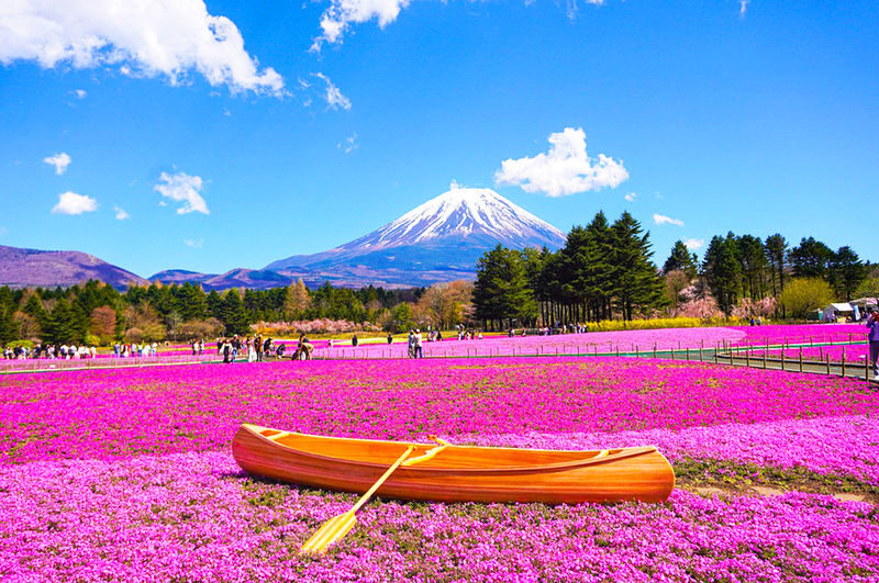 Mount Fuji Kawaguchiko Four Seasons Flower Sea: Arakurayama Sengen Park & Hikawa Clock Shop & Oshino Hakkai & Lawson Photo Spot (Departing from Tokyo) - Arakurayama Sengen Park: pagoda, town, and mountain