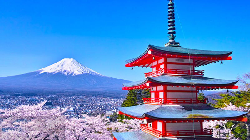 Mount Fuji Kawaguchiko Panoramic View & Tenjo-yama Park with Free Cable Car Ticket & Arakurayama Sengen Park & Hikawa Clock Shop & Lawson Convenience Store & Oishi Park One-Day Tour (Departing from Tokyo) - Start early in Tokyo, then let the guide manage the route
