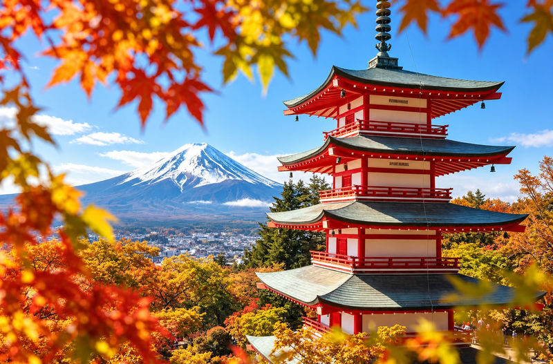 Mount Fuji Kawaguchiko Ropeway Day Tour from Tokyo: Kawaguchiko Tenjozan Park, Lawson Convenience Store, Oshino Hakkai, Arakurayama Sengen Park (Comfortable Bus or Private Car available) - Tenjozan Park and the Kawaguchiko ropeway