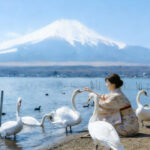 Mount Fuji Lake Yamanaka Small Group Day Tour (Driver-Guide Service, including Hotel Pick-up and Drop-off) - The lakes offer the clearest sense of place