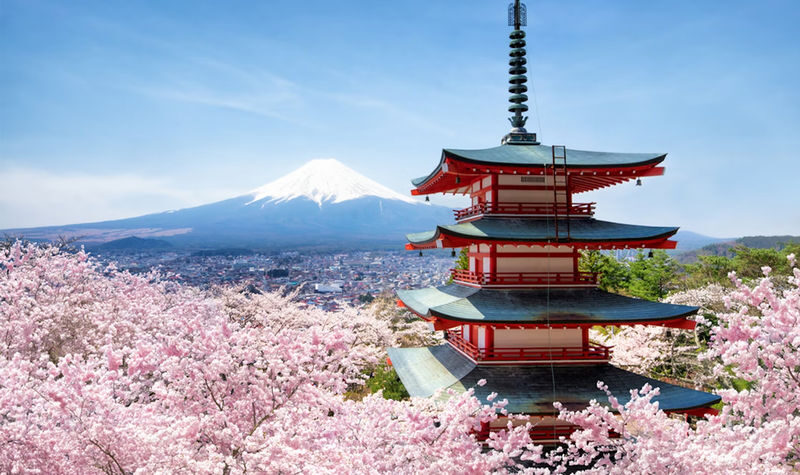 Mount Fuji Popular Attractions/Lake Yamanaka Walk & Cruise Day Trip (Small Group of 9) - The stops around Kawaguchiko