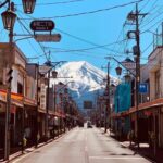 Mount Fuji Private Chartered Day Trip (From Tokyo) - Plan around Chureito Pagoda and the Fuji views