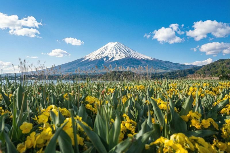 Mount Fuji Scenic Spots Exploration Day Tour: Saiko Iyashi-no-Sato Nenba & Arakurayama Sengen Park & Lake Kawaguchiko Oishi Park & Oshino Hakkai (Departing from Tokyo) - Saiko Iyashi-no-Sato Nenba: rooflines and rural history