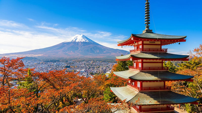 Mount Fuji & Tenjo-Yama Park Ropeway Day Tour - Tenjo-Yama Park by ropeway