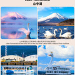 Mount Fuji Twin Lake Experience Tour: Hirano Beach & Lake Yamanaka Walk/KABA Amphibious Bus/Lake Yamanaka Swan Lake Cruise & Oshino Hakkai & Lake Kawaguchiko Experience One-Day Tour (Departing from Tokyo) - Hirano Beach: Fuji’s reflection, if the lake is calm