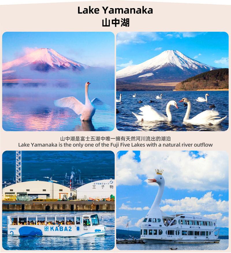 Mount Fuji Twin Lake Experience Tour: Hirano Beach & Lake Yamanaka Walk/KABA Amphibious Bus/Lake Yamanaka Swan Lake Cruise & Oshino Hakkai & Lake Kawaguchiko Experience One-Day Tour (Departing from Tokyo) - Hirano Beach: Fuji’s reflection, if the lake is calm