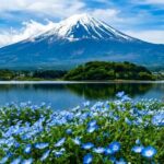 Mount Fuji Twin Lakes Instagram-Worthy Spots Day Tour | Lake Yamanaka Multiple Experiences Available + Lake Kawaguchi Oishi Park + Oshino Hakkai + Lawson Convenience Store + Nikawa Tokei Store (Departure from Tokyo) - Oishi Park puts the lake in the frame