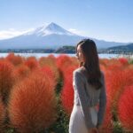 Mount Fuji Twin Lakes Internet-Famous Attractions Check-in Small Group Day Tour (Driver-Guide Service) - Oshino Hakkai: clear springs and village lanes