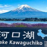 Mount Fuji Yamanakako Cycling & Lake Kawaguchi & Arakurayama Sengen Park & Nikawa Tokeiten Day Tour - Lawson: a quick, familiar Fuji frame