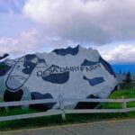 Mount Kinabalu & Desa Farm Full-Day Tour - Pekan Nabalu for handicrafts and mountain views
