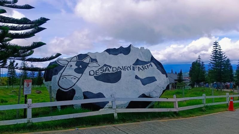 Mount Kinabalu & Desa Farm Full-Day Tour - Pekan Nabalu for handicrafts and mountain views