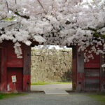 Mount Koya Wakayama & Nachi Waterfall Private Day Tour - Wakayama Castle: a good opening chapter