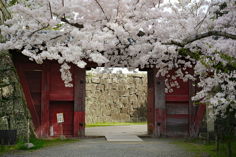 Mount Koya Wakayama & Nachi Waterfall Private Day Tour - Wakayama Castle: a good opening chapter