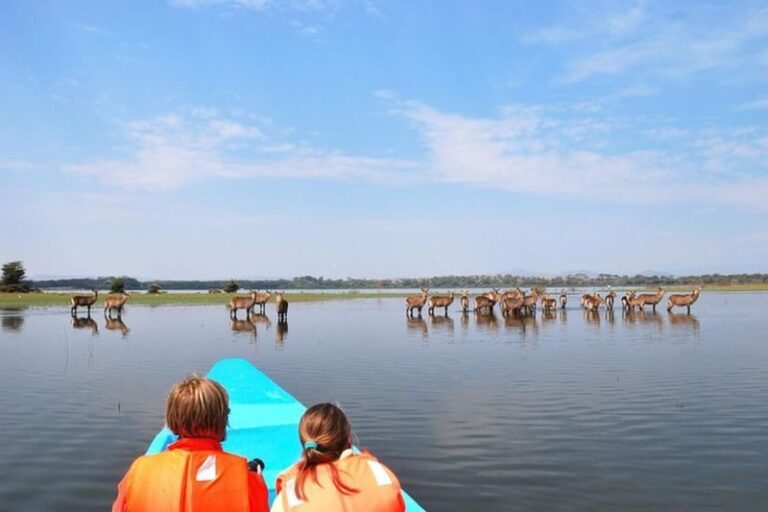 Mount Longonot & Lake Naivasha Full-Day Adventure - What the Mount Longonot climb may ask of you