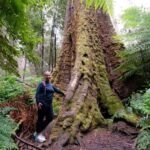 Mt Field National Park, Bonorong Wildlife & Mt. Wellington summit - Pack lunch for the forest stop