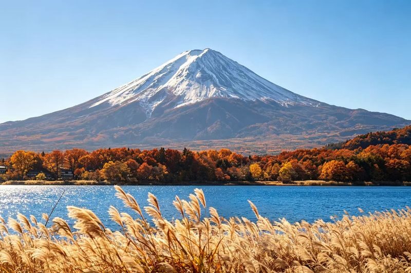 Mt. Fuji 6 Major Instagram-Worthy Photo Spots Day Tour (Departing from Tokyo / Multilingual Options Available) - Lake Yamanaka starts the day beside the water