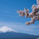 Mt. Fuji Day Tour: Flower Sightseeing & Outlet Shopping from Tokyo - Lake Kawaguchi gives the day breathing room