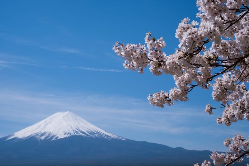 Mt. Fuji Day Tour: Flower Sightseeing & Outlet Shopping from Tokyo - Lake Kawaguchi gives the day breathing room
