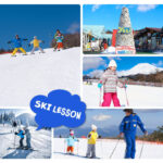 Mt. Fuji - Fujiyama Snow Ski Resort Yeti Day Trip from Tokyo - Choose the package that fits your day