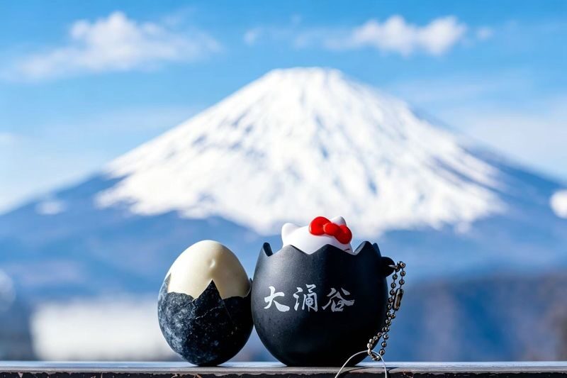 Mt. Fuji & Hakone Highlights Day Tour: Lake Ashi Pirate Ship + Togendai-Owakudani Ropeway - Small Group / Private Charter / Comfortable Coach (Multiple Options Available) - Hakone Shrine and the torii beside Lake Ashi