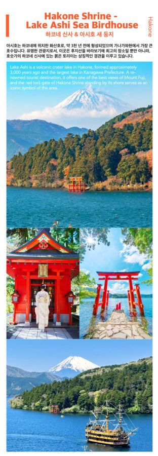 Mt. Fuji, Hakone Ropeway, Lake Ashi, Owakudani day tour - Lake Ashi: cruise or direct transfer