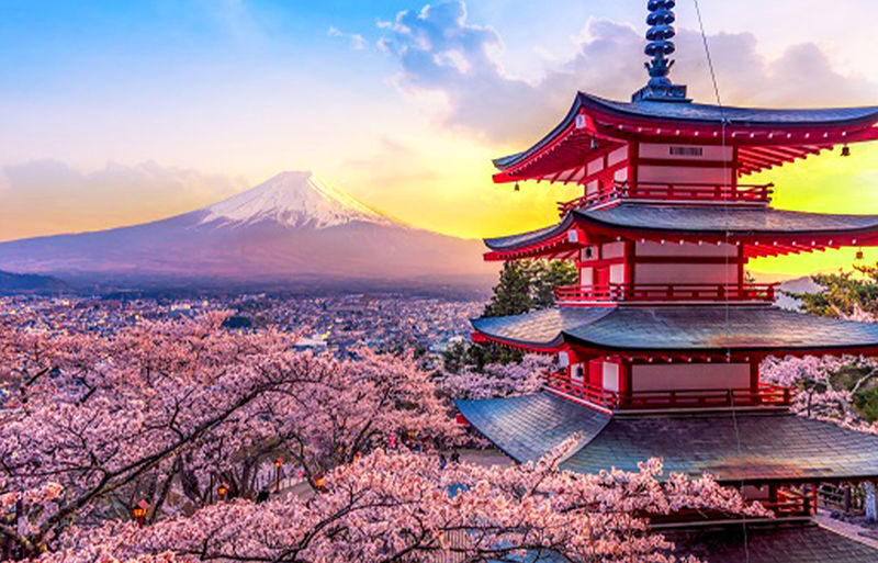 Mt. Fuji Instagram-Worthy Spots Day Tour: Ladder Town, Oshino Hakkai, Lake Kawaguchi, Lawson Convenience Store (Departing from Tokyo Station or Shinjuku Station) - Climbing to the Chureito Pagoda view