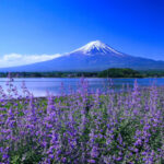 Mt. Fuji Kawaguchiko & Lake Yamanaka & Chureito Pagoda Small Group Day Tour (Optional Hotel Pick-up/Drop-off & Private Charter Available) - Lake Kawaguchiko: Fuji beside the water