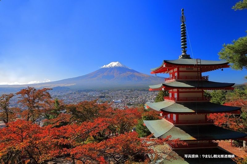 Mt. Fuji, Oishi Park & Arakurayama Pagoda Bus Tour with Lunch - The 5th Station: Fuji from high on the mountain