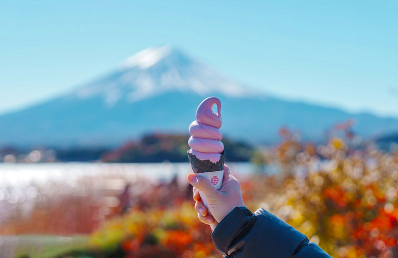 Mt. Fuji Six Views Popular Scenic Spots Check-in 9-Person Boutique Small Group Day Trip (Optional Hotel Pick-up) - Lake Yamanaka’s swans and Hirano Beach