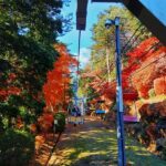 Mt. Takao Full-Day Tour with Tattoo-Friendly Hot Spring - Getting Around With Jordan