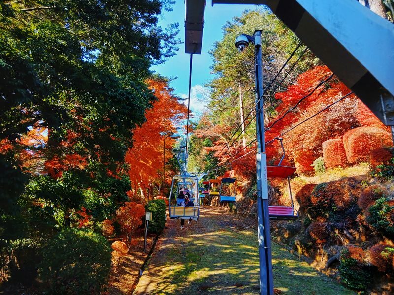 Mt. Takao Full-Day Tour with Tattoo-Friendly Hot Spring - Getting Around With Jordan