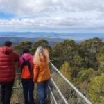 Mt Wellington Afternoon Small Group Tour - Cascade Gardens and Hobart’s past