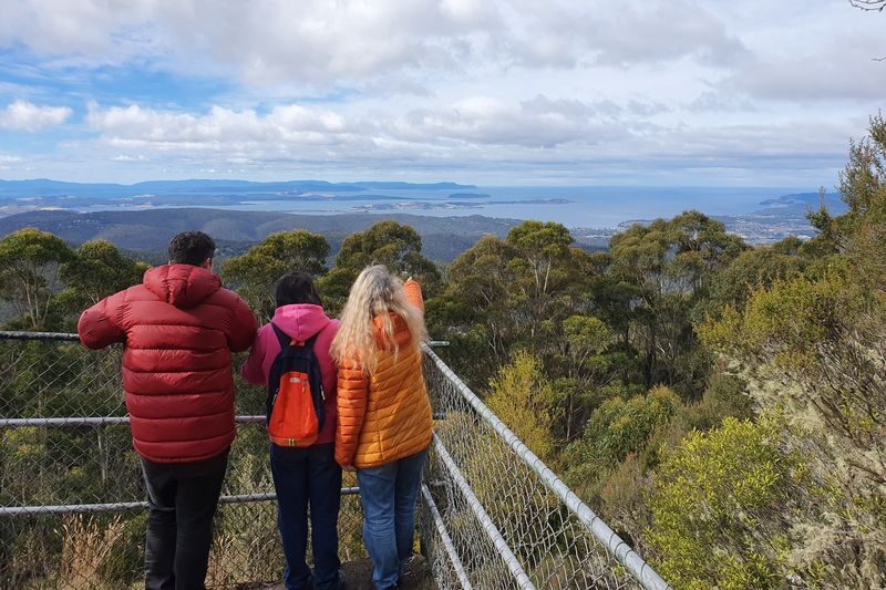 Mt Wellington Afternoon Small Group Tour - Cascade Gardens and Hobart’s past