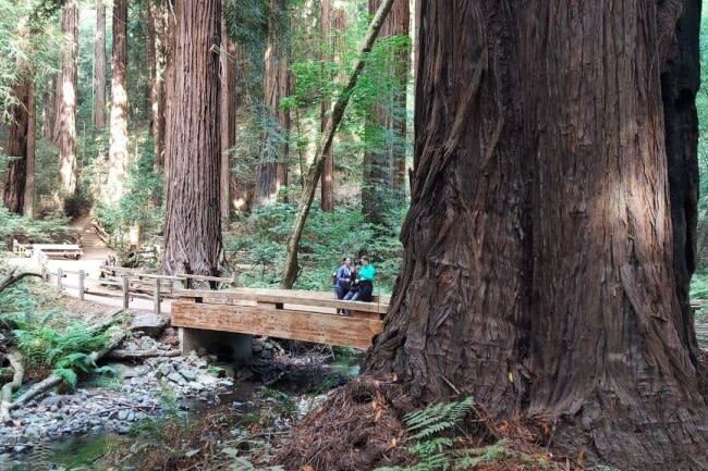Muir Woods and Sausalito Half-Day Small Group Tour - Crossing the Golden Gate Bridge