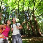 Muir Woods National Monument Tour from San Francisco - Ninety minutes among old-growth redwoods