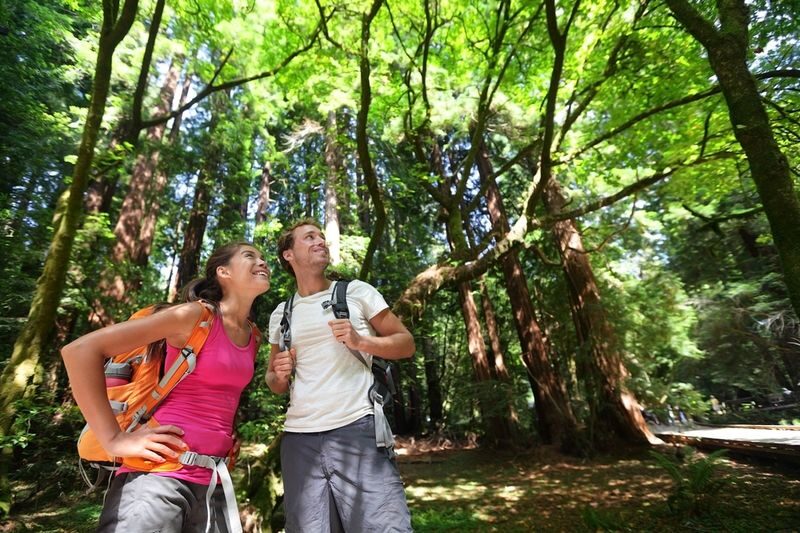 Muir Woods National Monument Tour from San Francisco - Ninety minutes among old-growth redwoods